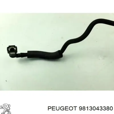 Sensor de presión de combustible PEUGEOT 9813043380