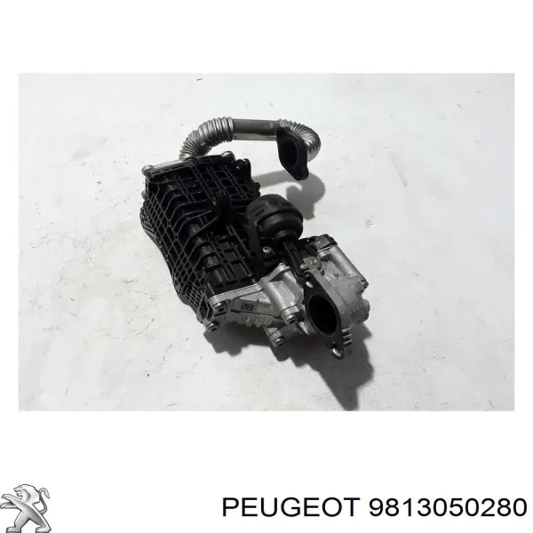 Enfriador de recirculación de gases de escape EGR 9813050280 Peugeot/Citroen