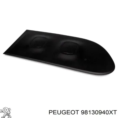 Moldura de puerta trasera derecha PEUGEOT 98130940XT