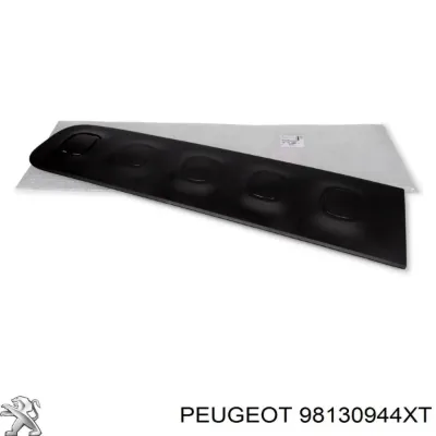 Moldura de puerta trasera izquierda PEUGEOT 98130944XT