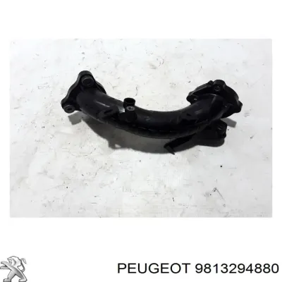 Tubo flexible de aspiración, cuerpo mariposa PEUGEOT 9813294880
