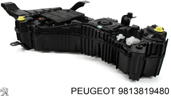  9813819480 Peugeot/Citroen