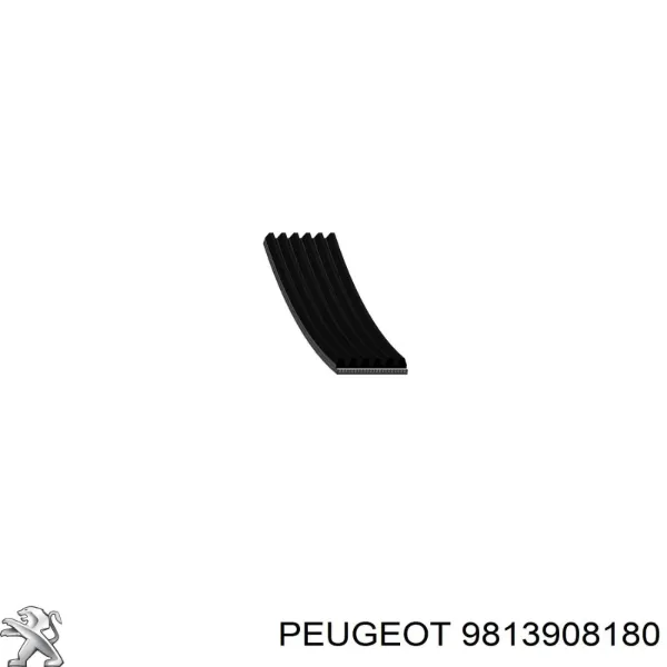 Correa de alternador 9813908180 Peugeot/Citroen