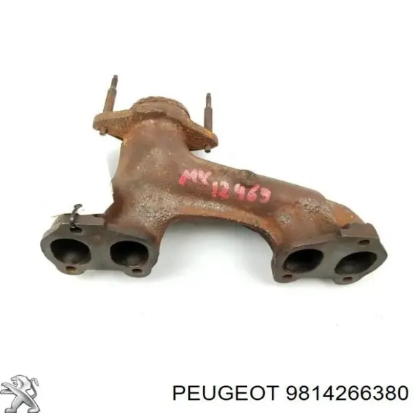 Colector de escape 9814266380 Peugeot/Citroen