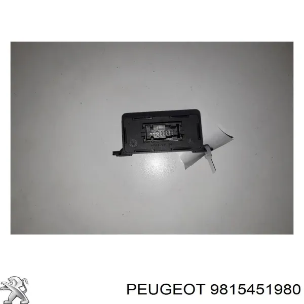  9827096780 Peugeot/Citroen