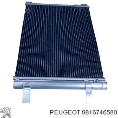 9816746580 Peugeot/Citroen