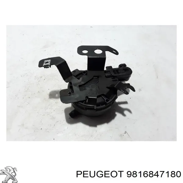 Caja del filtro de combustible 9816847180 Peugeot/Citroen