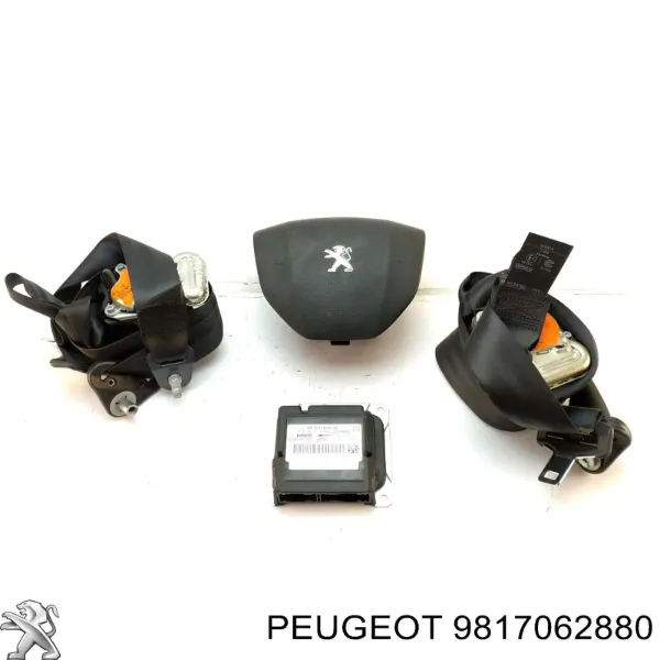 9817062880 Peugeot/Citroen
