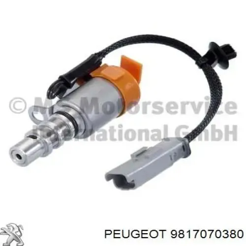 Válvula reguladora de presión de aceite 9817070380 Peugeot/Citroen