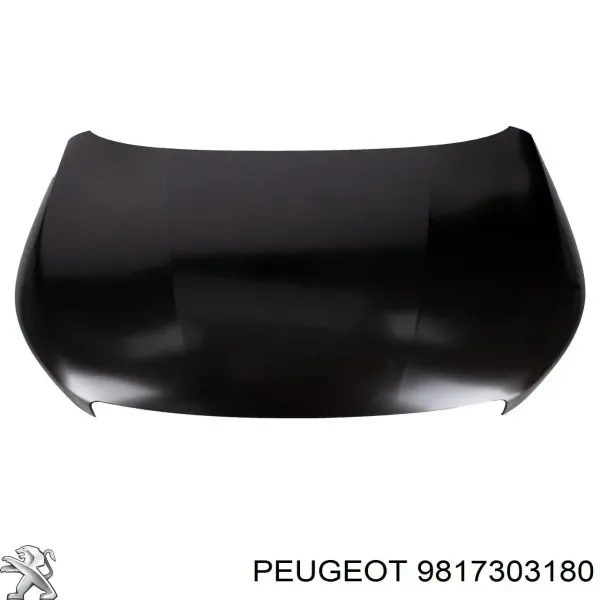 Capó 9817303180 Peugeot/Citroen