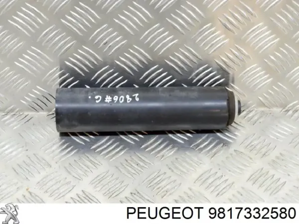 Guardapolvo amortiguador trasero 9817332580 Peugeot/Citroen