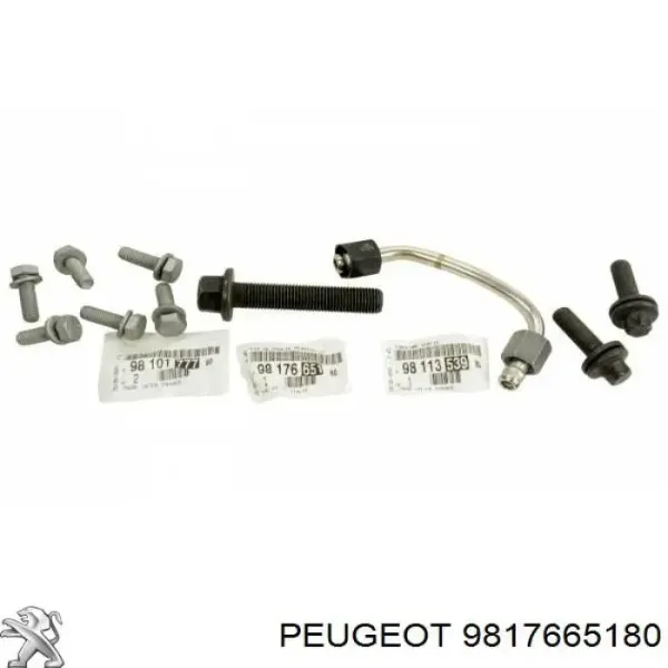 Perno de la polea del cigüeñal 9817665180 Peugeot/Citroen
