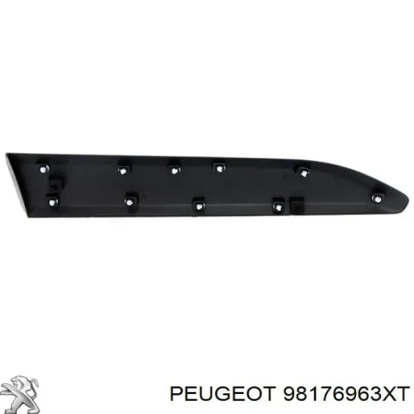 Moldura inferior de puerta delantera izquierda 98176963XT Peugeot/Citroen