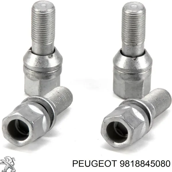 Tornillo de rueda Peugeot Expert VF3V