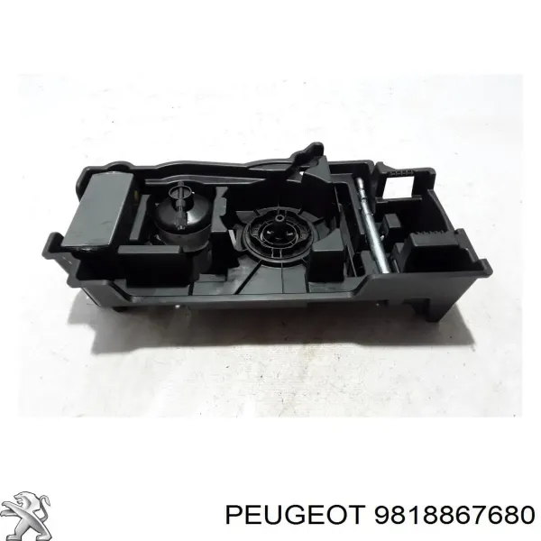  9818867680 Peugeot/Citroen