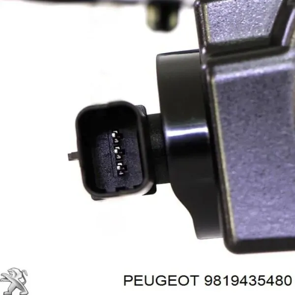  9819435480 Peugeot/Citroen