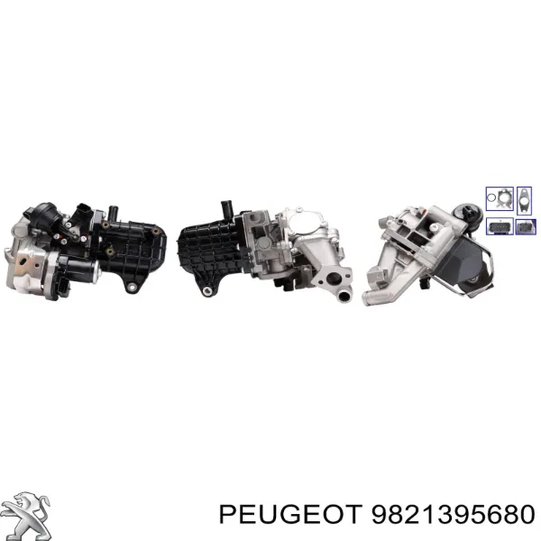 Enfriador de recirculación de gases de escape EGR 9821395680 Peugeot/Citroen