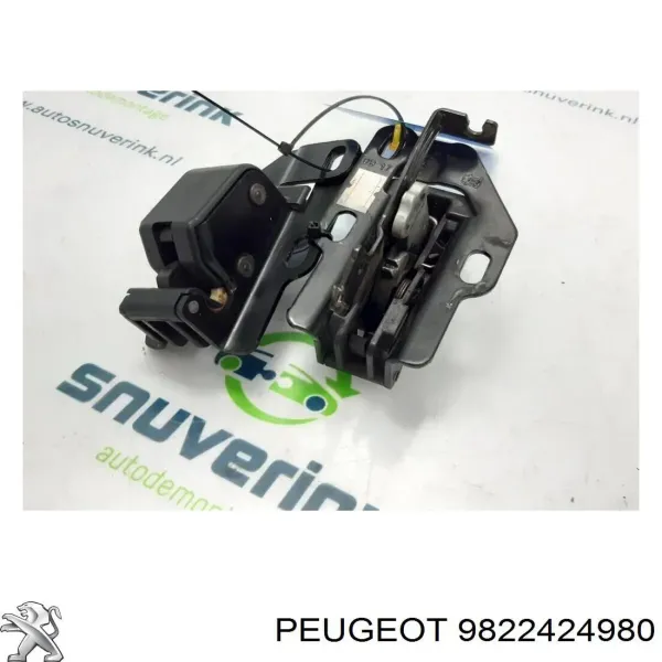  9822424980 Peugeot/Citroen