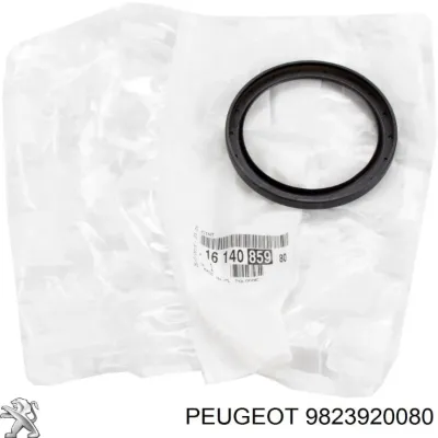 Retén del árbol de levas PEUGEOT 9823920080