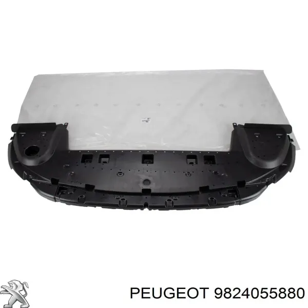 Soporte de radiador completo (panel de montaje para foco) para Peugeot 5008 II 