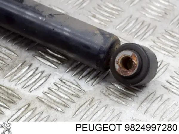  9824997280 Peugeot/Citroen