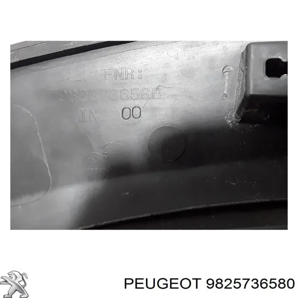  9825736580 Peugeot/Citroen