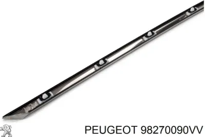 Moldura de techo derecha PEUGEOT 98270090VV