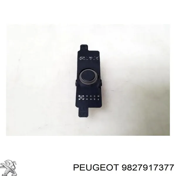  9827917377 Peugeot/Citroen