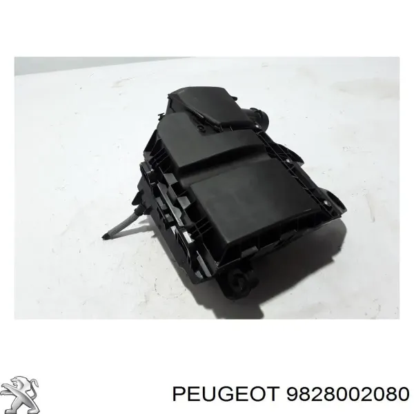 Caja del filtro de aire 9828002080 Peugeot/Citroen