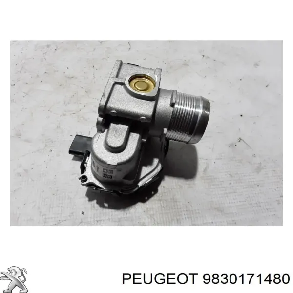 Cuerpo de mariposa 9830171480 Peugeot/Citroen