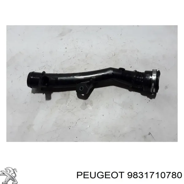 Tubo intercooler 9831710780 Peugeot/Citroen