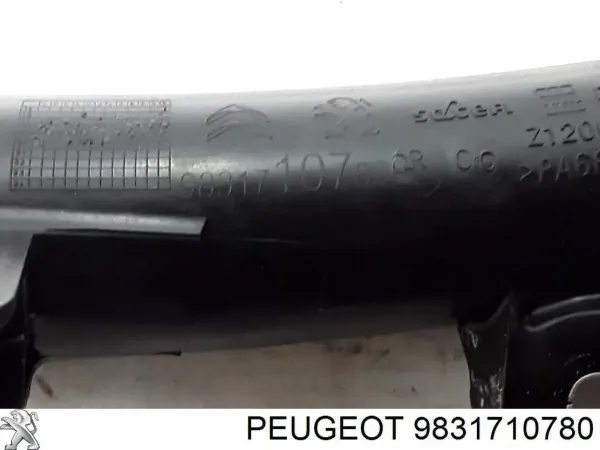 Tubo intercooler 9831710780 Peugeot/Citroen