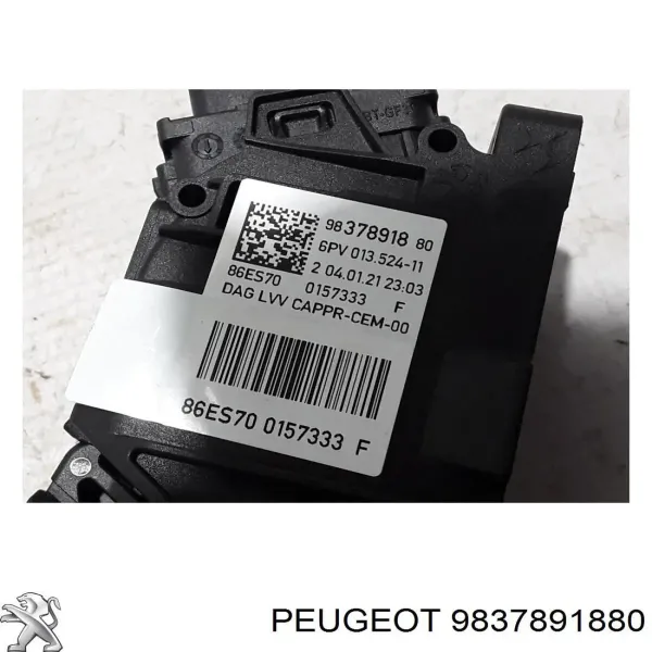 Pedal del acelerador 9837891880 Peugeot/Citroen