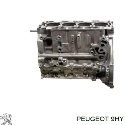 Motor completo PEUGEOT 9HY