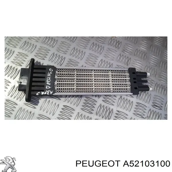  A52103100 Peugeot/Citroen