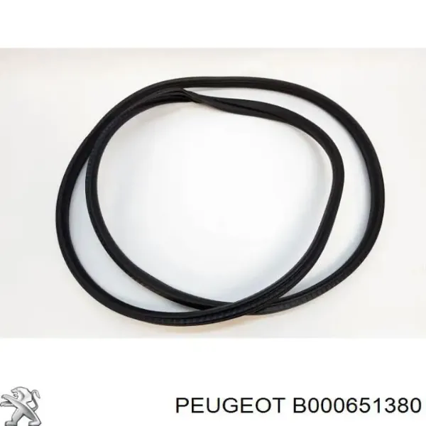  B000651380 Peugeot/Citroen