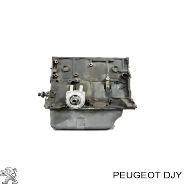 Motor completo DJY Peugeot/Citroen