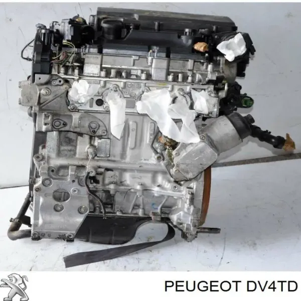 Motor completo 8HZDV4TD Peugeot/Citroen