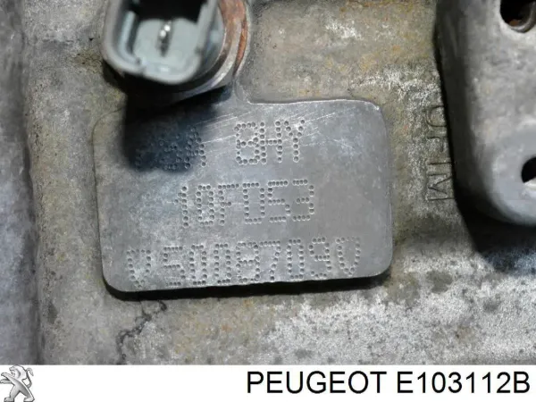  E103112B Peugeot/Citroen