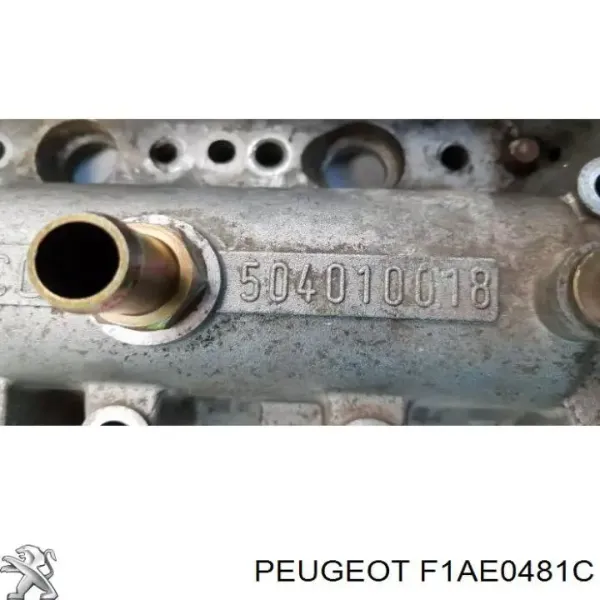 Motor completo F1AE0481C Peugeot/Citroen