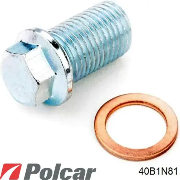 Radiador calefacción 40B1N81 Polcar