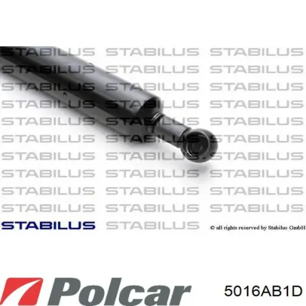 Amortiguador maletero 5016AB1D Polcar