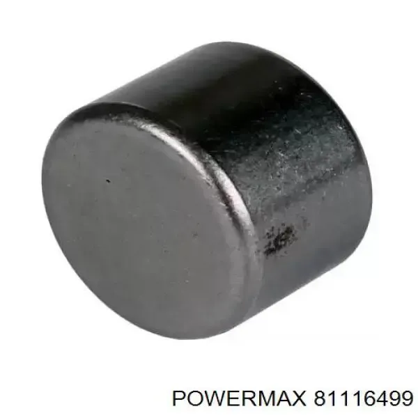 Rodamiento alternador BCH06604 INA