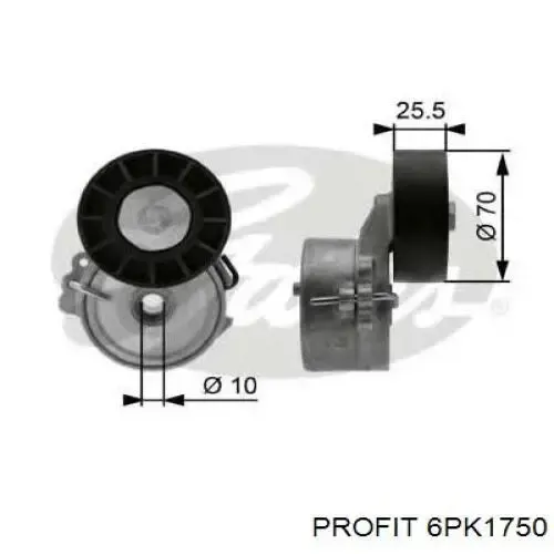 Correa trapezoidal Volkswagen LT 2DB, 2DE, 2DK