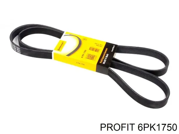 Correa trapezoidal Volkswagen LT 2DB, 2DE, 2DK