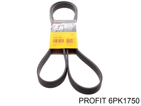 Correa trapezoidal Volkswagen LT 2DB, 2DE, 2DK