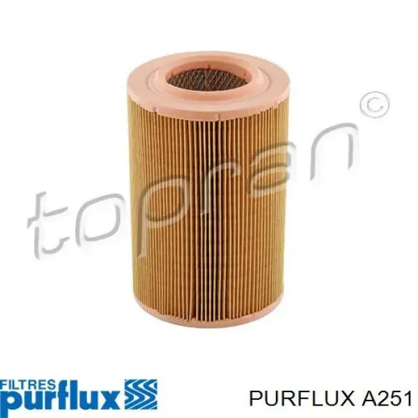 Filtro de aire A251 Purflux