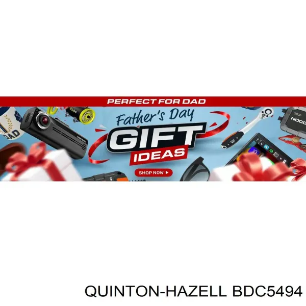 Disco de freno trasero Renault Trafic 2 FL