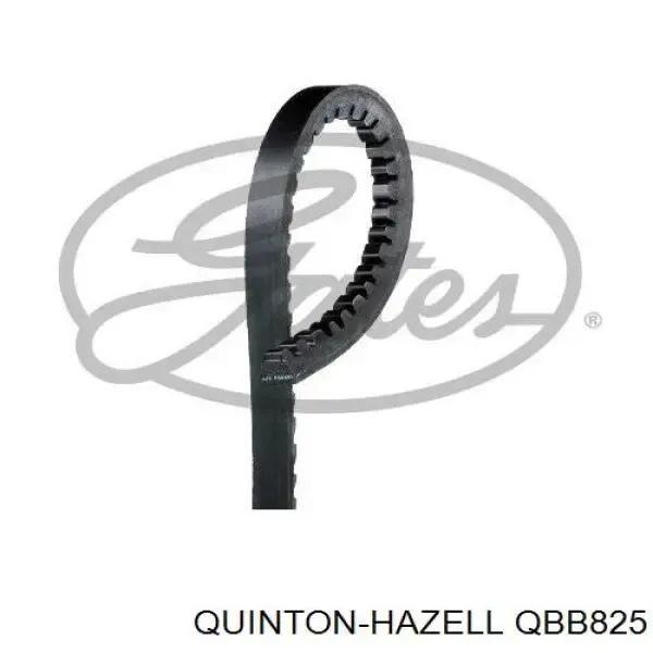 Correa de alternador AVX13X830 Continental/Siemens