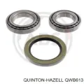 Cojinete de rueda Ford Transit T